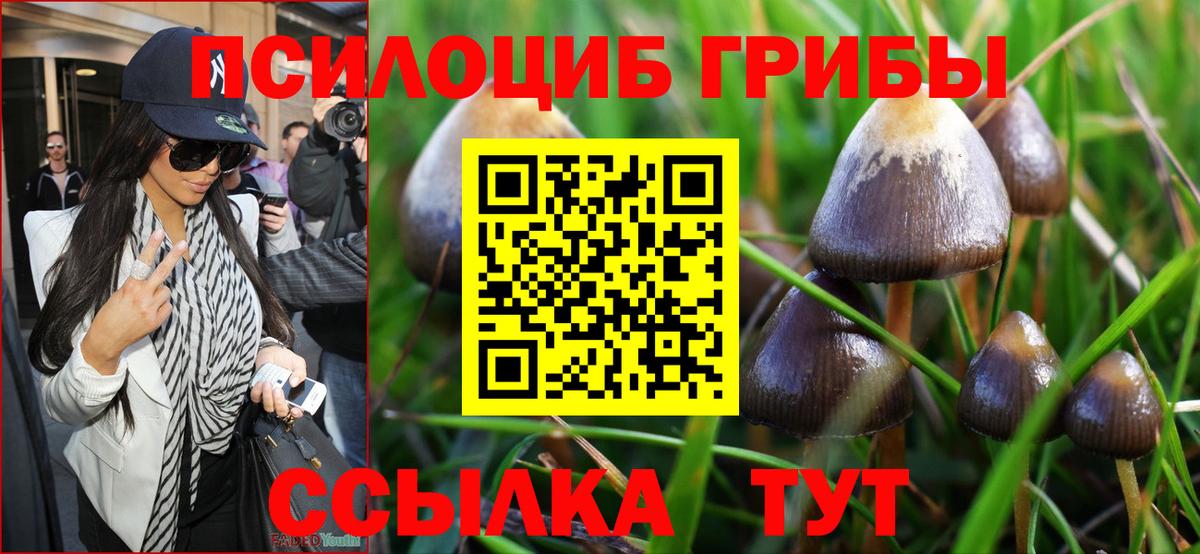 как найти   Псилоцибиновые грибы мицелий  Вход с VPN  Лангепас 